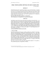 PHỤC TRÁNG GIỐNG NẾP NK2 CÓ CHẤT LƯỢNG TỐT pot