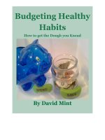 How to get the Dough you Knead pptx