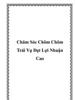 Chăm Sóc Chôm Chôm Trái Vụ Đạt Lợi Nhuận Cao ppt
