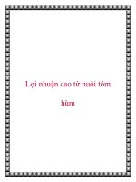 Lợi nhuận cao từ nuôi tôm hùm pdf