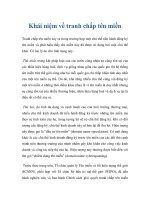 Khái niệm về tranh chấp tên miền pot