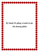 Kỹ thuật SX giống và nuôi cá sặc rằn thương phẩm ppt