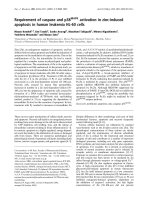 Báo cáo Y học: Requirement of caspase and p38MAPK activation in zinc-induced apoptosis in human leukemia HL-60 cells potx