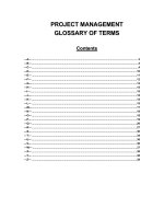 PROJECT MANAGEMENT GLOSSARY OF TERMS pdf