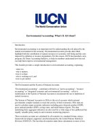 Environmental Accounting: What''''s It All About? pdf