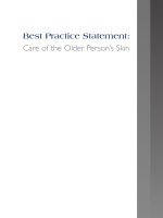 Best Practice Statement: Care of the Older Person’s Skin pdf