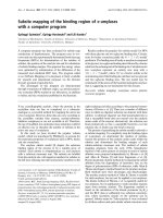 Báo cáo Y học: Subsite mapping of the binding region of a-amylases with a computer program ppt