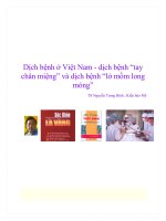 Dịch bệnh ở Việt Nam - dịch bệnh “tay chân miệng” và dịch bệnh “lở mồm long móng” pot
