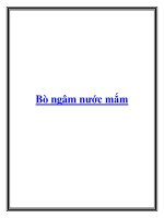 Bò ngâm nước mắm potx