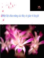 Vệ sinh mắt sinh học 8