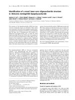 Báo cáo khoa học: Identiﬁcation of a novel inner-core oligosaccharide structure in Neisseria meningitidis lipopolysaccharide docx