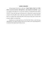 hoạt động cho vay tiêu dùng tại agribank chi nhánh tân bình