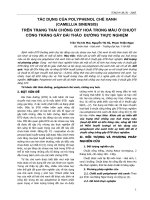 TÁC DỤNG CỦA POLYPHENOL CHÈ XANH (CAMELLIA SINENSIS) TRÊN TRẠNG THÁI CHỐNG OXY HOÁ TRONG MÁU Ở CHUỘT CỐNG TRẮNG GÂY ĐÁI THÁO ĐƯỜNG THỰC NGHIỆM pptx