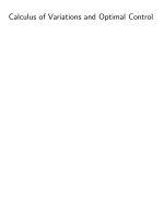 calculus of variations & optimal control - sasane