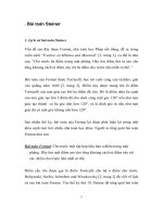 Bài toán Steiner pot