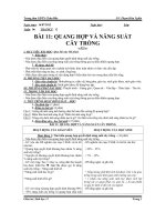 BÀI 11 QUANG HỢP VÀ NĂNG SUẤT CÂY TRỒNG docx