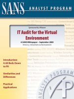 IT Audit for the Virtual Environment: A SANS Whitepaper – September 2009 docx