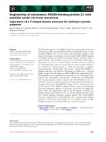 Báo cáo khoa học: Engineering of monomeric FK506-binding protein 22 with peptidyl prolyl cis-trans isomerase Importance of a V-shaped dimeric structure for binding to protein substrate docx