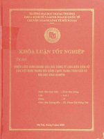 chiến lược kinh doanh của các công ty linh kiện điện tử của việt nam trong bối cảnh cạnh tranh toàn cầu và bài học kinh nghiệm