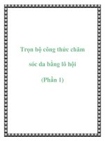 Trọn bộ công thức chăm sóc da bằng lô hội (Phần 1) pot