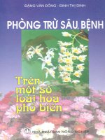 Phòng trừ sâu, bệnh một số loại hoa phổ biến pot
