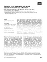 Báo cáo khoa học: Secretion of the mammalian Sec14p-like phosphoinositide-binding p45 protein pptx
