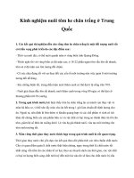 Kinh nghiệm nuôi tôm he chân trắng ở Trung Quốc pptx