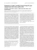 Báo cáo khóa học: Identiﬁcation of residues controlling transport through the yeast aquaglyceroporin Fps1 using a genetic screen ppt