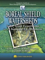 BOREAL SHIELD WATERSHEDS Lake Trout Ecosystems in a Changing Environment ppt
