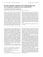 Báo cáo khoa học: The outer membrane component of the multidrug efﬂux pump from Pseudomonas aeruginosa may be a gated channel pptx