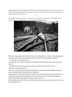 ĐỪNG NHƯ CỐC NƯỚC NHỎ, HÃY LÀ MẶT HỒ LỚN!