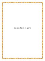 Ca dao chủ đề phong tục- cổ tục docx