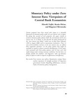 Monetary Policy under Zero Interest Rate: Viewpoints of Central Bank Economists doc