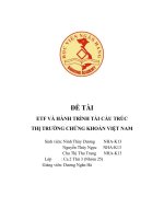 Đề tài: ETF VÀ HÀNH TRÌNH TÁI CẤU TRÚC THỊ TRƯỜNG CHỨNG KHOÁN VIỆT NAM pptx