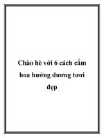 Chào hè với 6 cách cắm hoa hướng dương tươi đẹp pdf