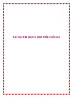 Các loại hạt giúp bé phát triển chiều cao pot