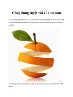 Công dụng tuyệt vời của vỏ cam pot