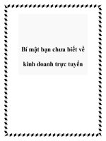 Bí mật bạn chưa biết về kinh doanh trực tuyến docx