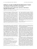 Báo cáo khoa học: Cloning of a rat gene encoding the histo-blood group A enzyme Tissue expression of the gene and of the A and B antigens potx