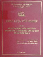 Một số giải pháp nhằm phát triển quan hệ kinh tế thương mại giữa Việt Nam với các nước Nam Á