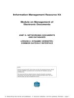 UNIT 6. NETWORKING DOCUMENTS AND DATABASES LESSON 2. DYNAMIC WEBSITES: COMMON GATEWAY INTERFACENOTE docx