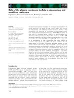 Báo cáo khoa học: Role of the plasma membrane leaﬂets in drug uptake and multidrug resistance ppt