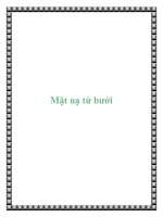 Mặt nạ từ bưởi pptx