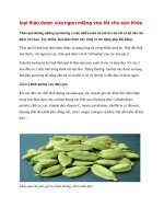 loại thảo dược vừa ngon miệng vừa tốt cho sức khỏe pptx