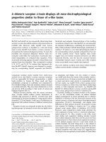 Báo cáo Y học: A chimeric scorpion a-toxin displays de novo electrophysiological properties similar to those of a-like toxins docx