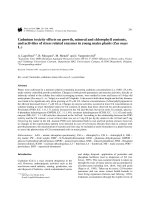 Cd toxicity effects on growth, mineral and chlorophyll contents and activities of stress related enzymes