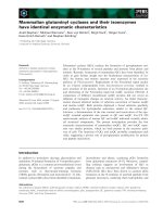 Báo cáo khoa học: Mammalian glutaminyl cyclases and their isoenzymes have identical enzymatic characteristics docx