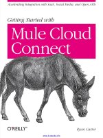 Getting Started with Mule Cloud Connect potx