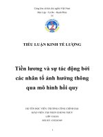 Tiểu luận: Tiền lương và sự tác động bởi các nhân tố ảnh hưởng thông qua mô hình hồi quy doc