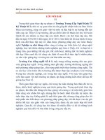 Bài báo cáo thực hành sư phạm 